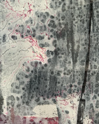 Untitled #21