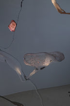 Untitled #7